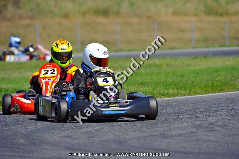 DSC_ (1341).jpg